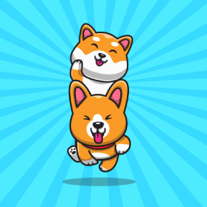 CoShi Inu 