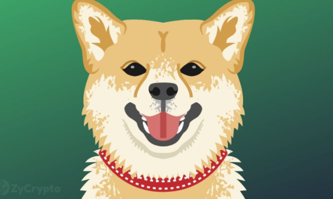 Dogecoin გაიზარდა 11%-ით, როდესაც მილიარდერი ელონ მასკი პირობას დებს, რომ გაზრდის მსყიდველუნარიანობას DOGE-ზე