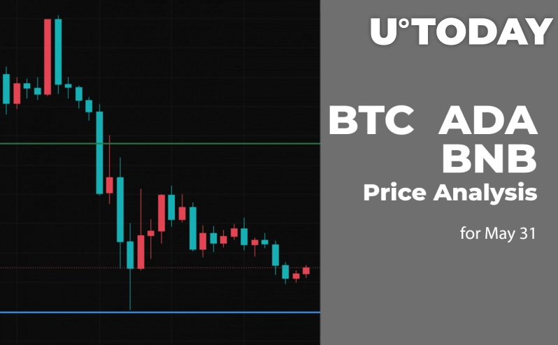 BTC, ADA და BNB ფასების ანალიზი 31 მაისისთვის